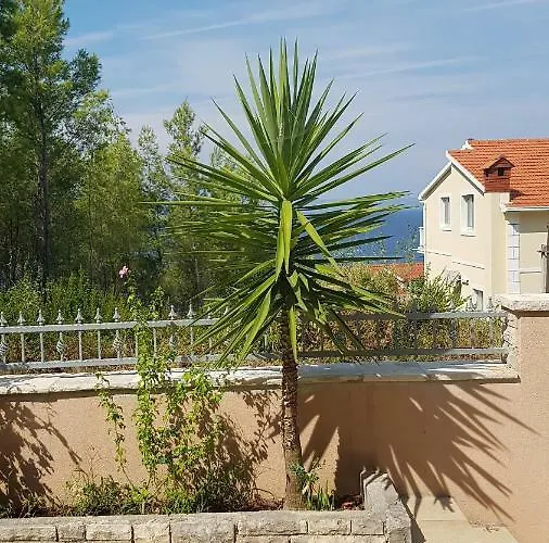 Dom wakacyjny Kety *